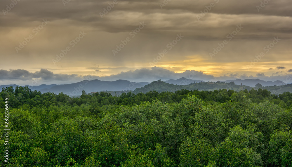Beautiful landscape view of evergreen mangrove forest and sunlight mountain in thailand.