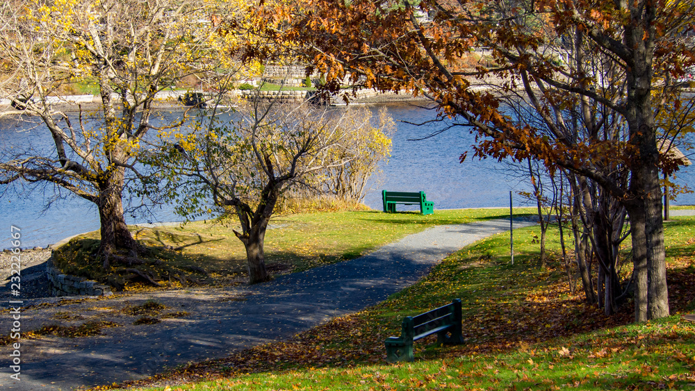 autumn in park featuring sexy benches for everyone, no people, water in distance autumn in park featuring sexy benches for everyone, no people, water in distance