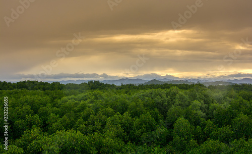 Beautiful landscape view of evergreen mangrove forest and sunlight mountain in thailand. © Tushchakorn