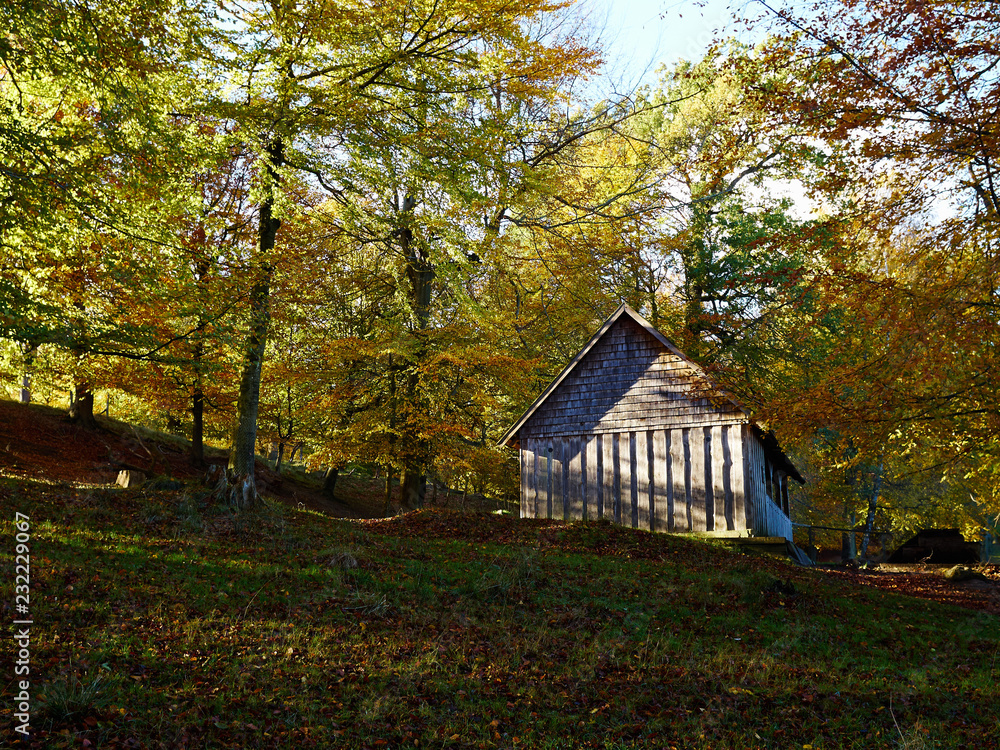 Traditional wooden hut cabin a forest eco tourism background, beautiful natural scene