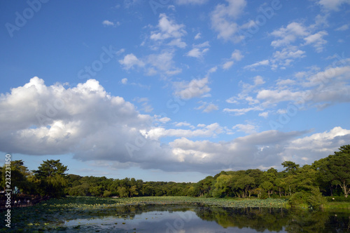 大きな池の上空に夏雲が浮かんでいる公園の風景