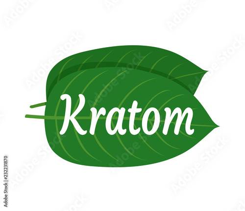 Mitragyna speciosa, kratom leaf logo 