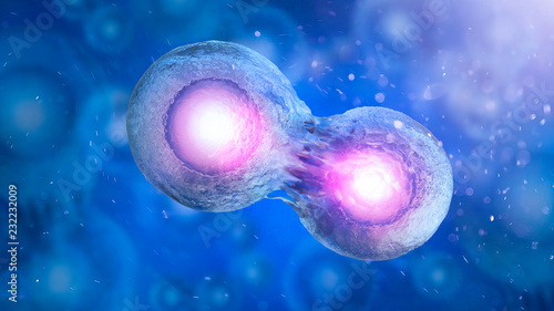 Cell embryo, Mitosis under microscope. 3D illustration photo