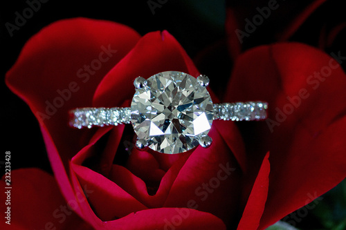 Platinum Diamond Ring On Red Rose (Hearts & Arrows)
