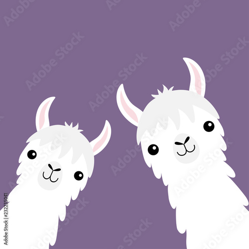 Llama alpaca animal set. Face neck. Fluffy hair fur. Cute cartoon funny kawaii character. Childish baby collection. T-shirt, greeting card, poster template print. Flat design. Violet background.