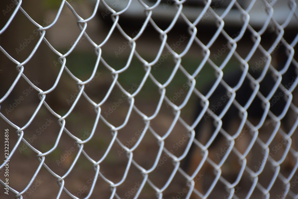 Narrow focus of the tilted view of realistic steel netting or chain link fence wire mesh steel metal. Background is blurred. Narrow focus of the tilted view of realistic steel netting or chain link fence wire mesh steel metal. Background is blurred.