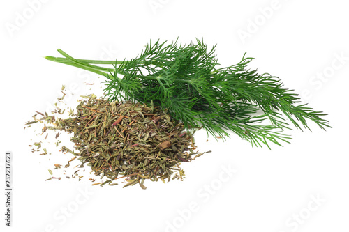 bunch fresh green dill with dried dill isolated on white background