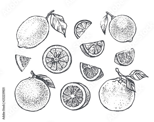 Citrus icons set with lemon, orange and lime