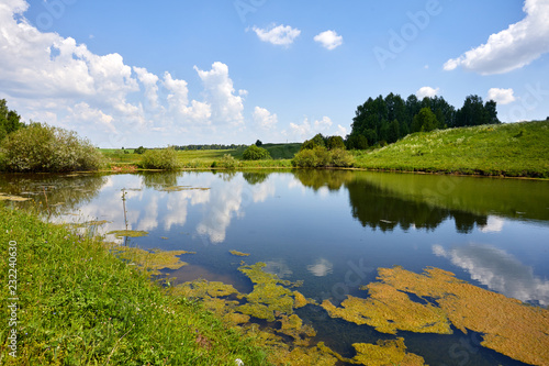 Warm beautiful summer landscape with lake and grass. A pond on a background of greenery and blue sky