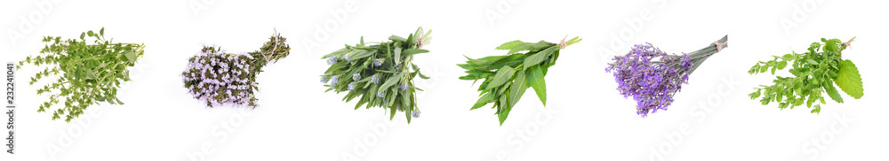 Set of fresh herbs hanging on an isolated white background Set of fresh herbs hanging on an isolated white background