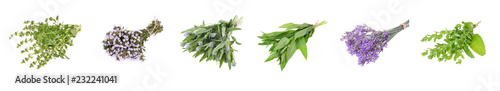 Set of fresh herbs hanging  on an isolated white background