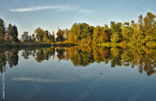 Scenic marshland during autumn time