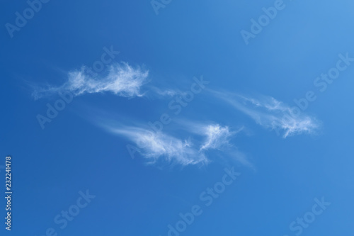 A few feathery clouds fly in the clear blue sky. White clouds have a head and a tail. Background  backdrop or Wallpaper. Weather forecast and meteorology. Clouds flying freely in the wind.