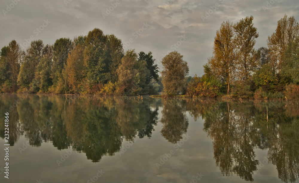 Scenic marshland during autumn time