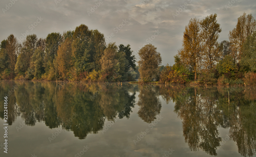 Scenic marshland during autumn time Scenic marshland during autumn time
