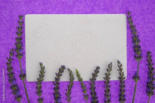 Lavender. White blank  and fresh lavender flowers on bright purple background.top view, copy space. Lavender Mockup.