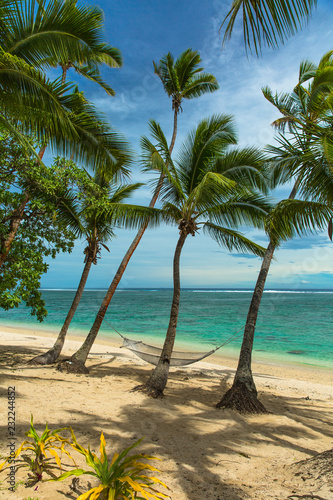 Fototapeta Naklejka Na Ścianę i Meble -  Tropical island beach with turquoise water, coconut palm trees and hammock hanging between the trees.