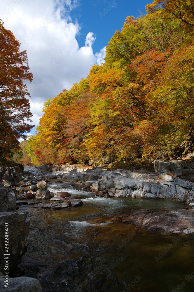 赤沢の紅葉 赤沢の紅葉