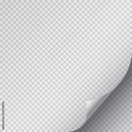 Page curl corner on blank sheet of paper. Vector fold sticker with flip edge isolated on transparent background.