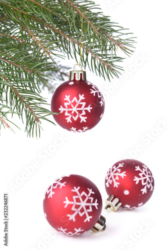 Christmas baubles hung from a branch of fir tree on white background 