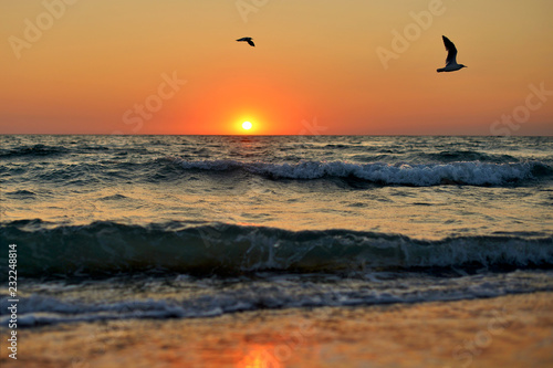 Sea waves and flying seagulls on the background of red sunset in summer.