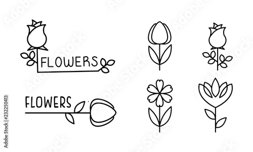 Flowers linear logo set, floral design elements can be used for branding identity, flower shop, florist salon vector Illustration on a white background