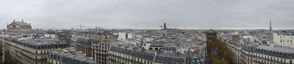 Cityscape of Paris: roofs of Paris, Eiffel Tower, Madeleine Church and opera house
