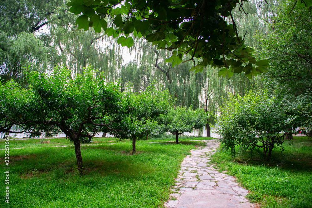 Fototapeta premium Park z jeziorem i pięknymi drzewami w pobliżu Summer Palace, Pekin, Chiny