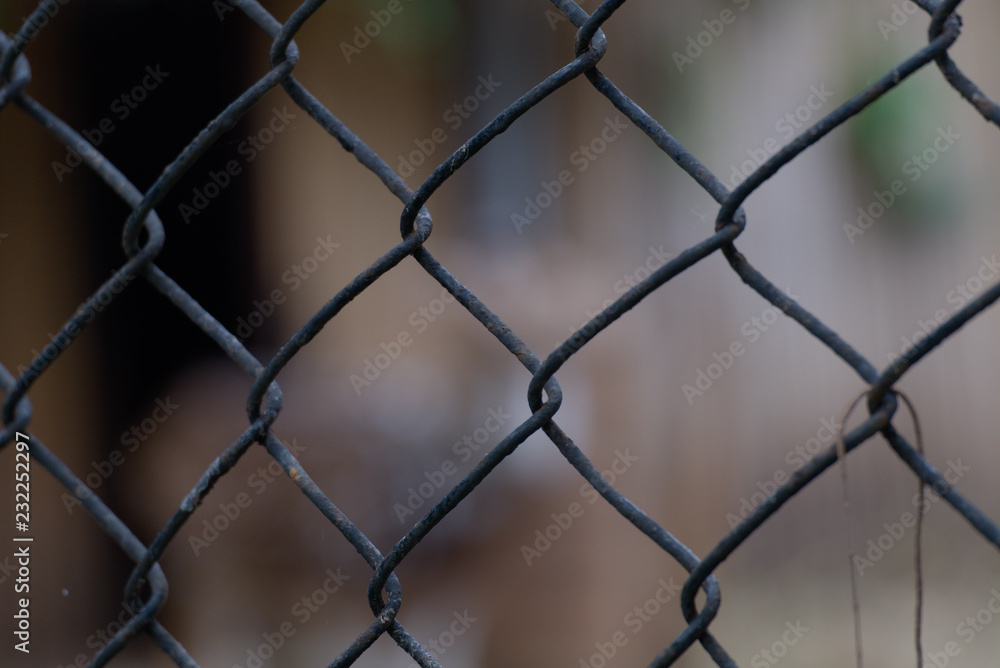 Fototapeta premium Steel cage to keep animals out