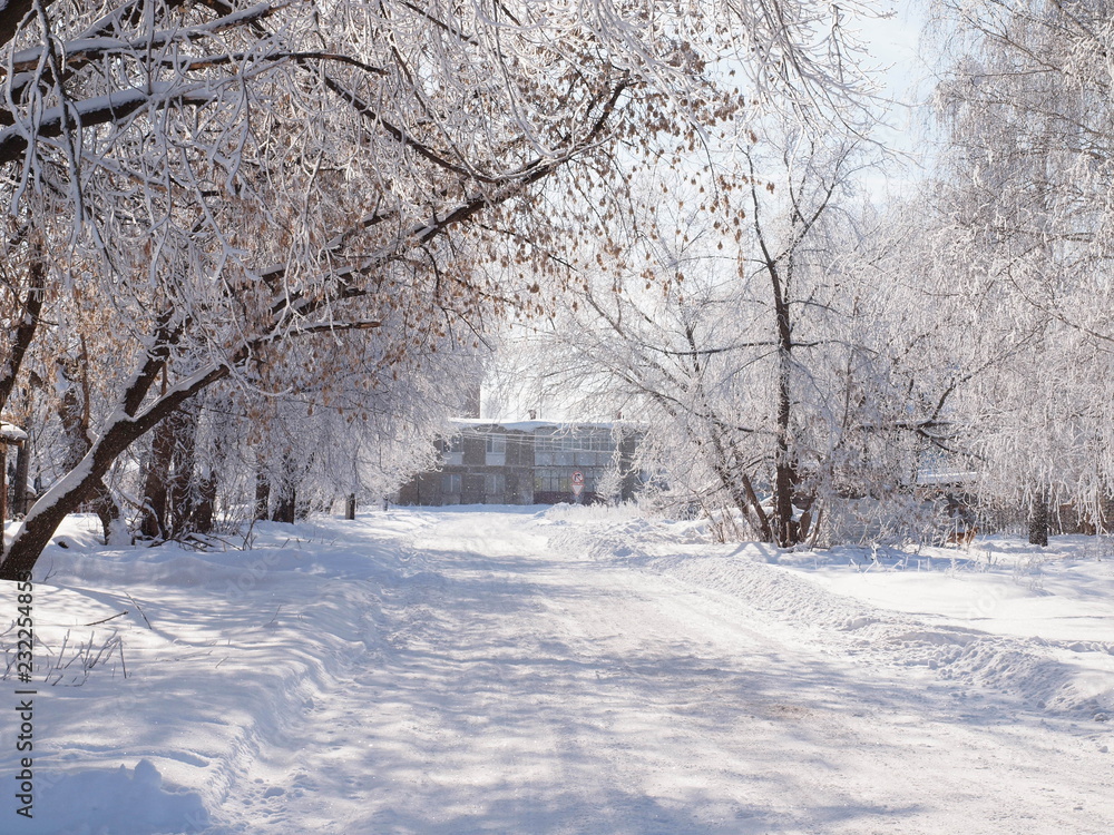Trees in the frost. Winter snow. Russian small town in winter. Russia, Ural, Perm region Trees in the frost. Winter snow. Russian small town in winter. Russia, Ural, Perm region