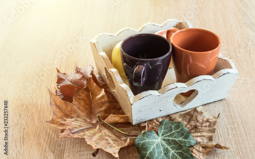 Autumn concept on wooden background