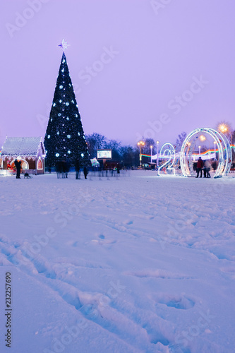 New Year's tree in Gomel in the evening photo