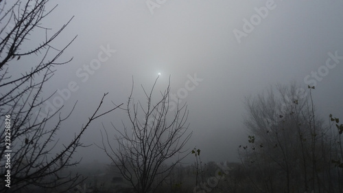 Beautiful mystical surrealistic morning landscape in cold foggy weather with little dim sun on tree branch