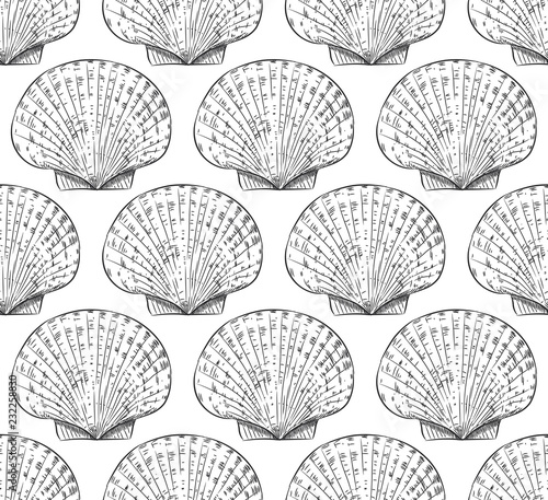 seamless pattern scallop is a marine bivalve mollusc of the family Pectinidae. sea snails, live in all the world's oceans. Sketch black contour on white background. Vector