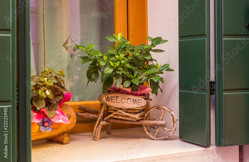Burano  Italy  window with flowers on the windowsill in decorative flowerpots