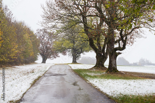 Allee bei Oberweckerstell © Tilman Ehrcke