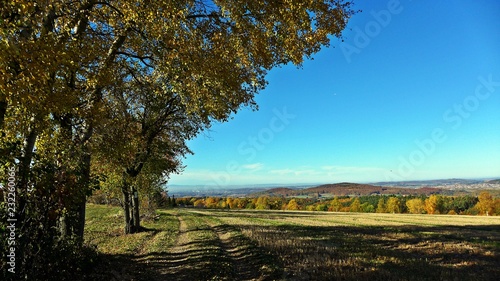 Weg durch den vorderen Spessart