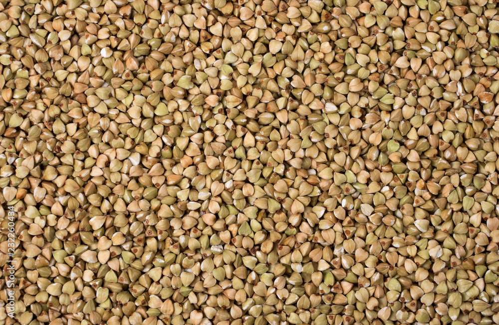 Natural fresh green buckwheat as background. Natural fresh green buckwheat as background.