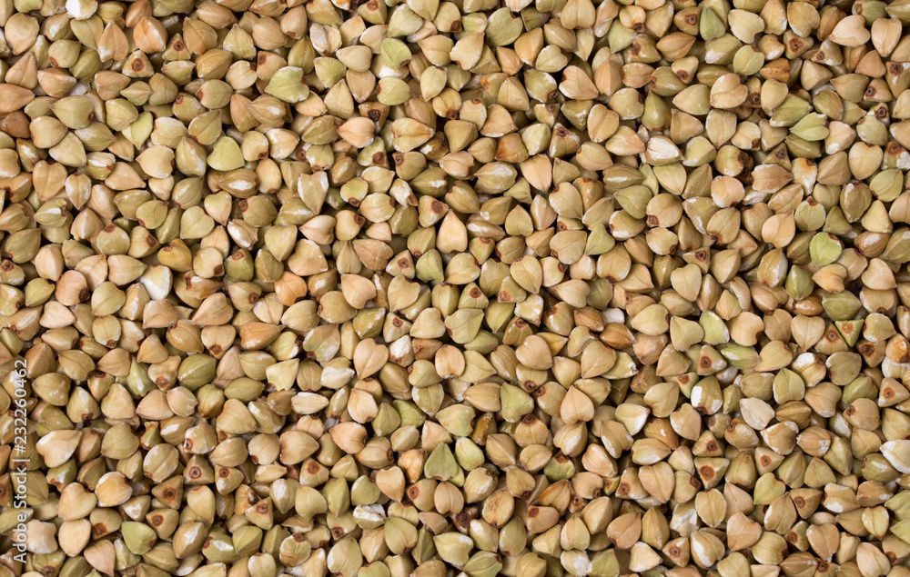 Natural fresh green buckwheat as background. Natural fresh green buckwheat as background.