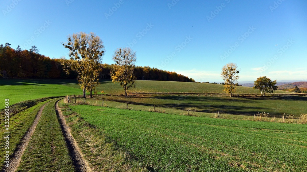 Fototapeta premium Wanderweg durch den Spessart