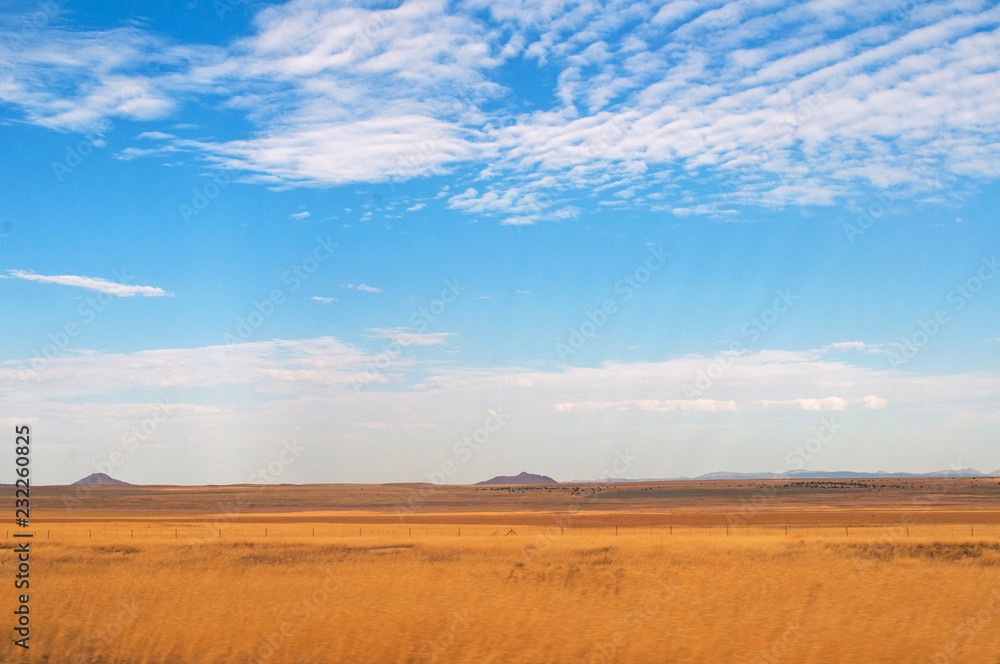 Fototapeta premium field and blue sky