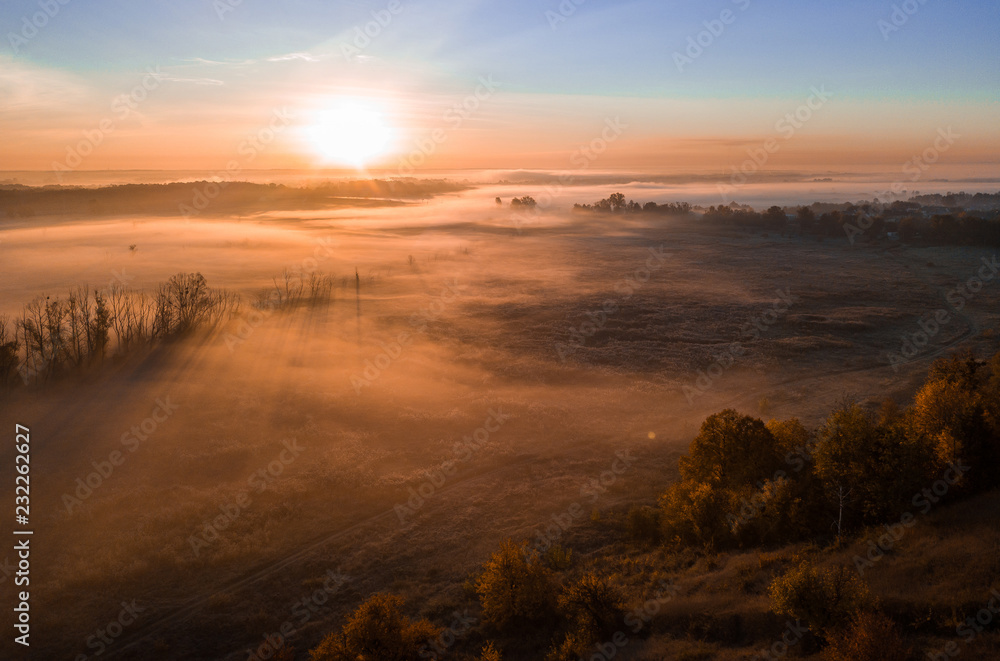 Deep thick fog in the valley. Long shadows from the trees. Atmospheric beautiful dawn. Aerial drone photo. Amazing mood