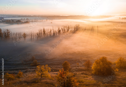 Deep thick fog in the valley. Long shadows from the trees. Atmospheric beautiful dawn. Aerial drone photo. Amazing golden sun scenic rays through the trees