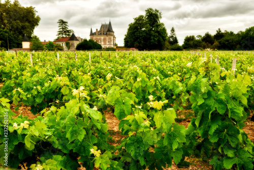 Château Lamothe-Cissac, Aquitaine, Gironde, Medoc, France