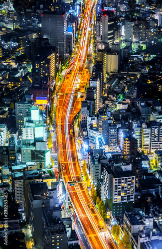 tokyo tower and city skyline under blue night © voyata