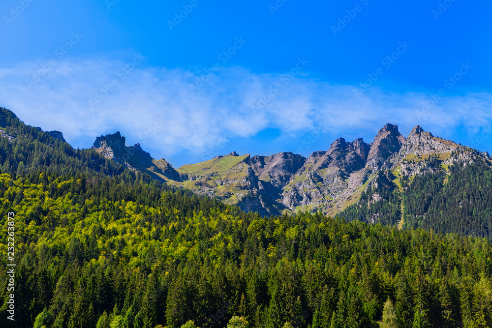 Alpine landscape and forest