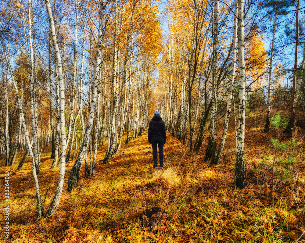 foggy forest. girl in the autumn forest. foggy morning foggy forest. girl in the autumn forest. foggy morning