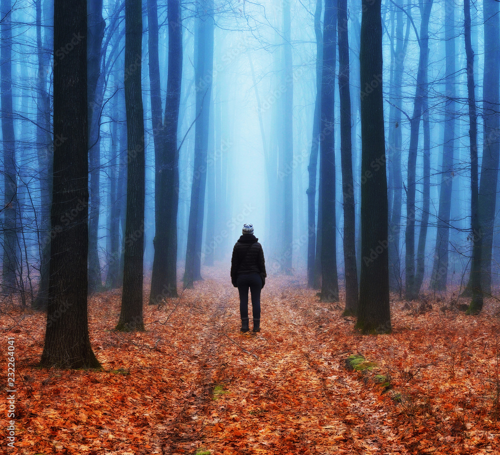 Fototapeta premium foggy forest. girl in the autumn forest. foggy morning
