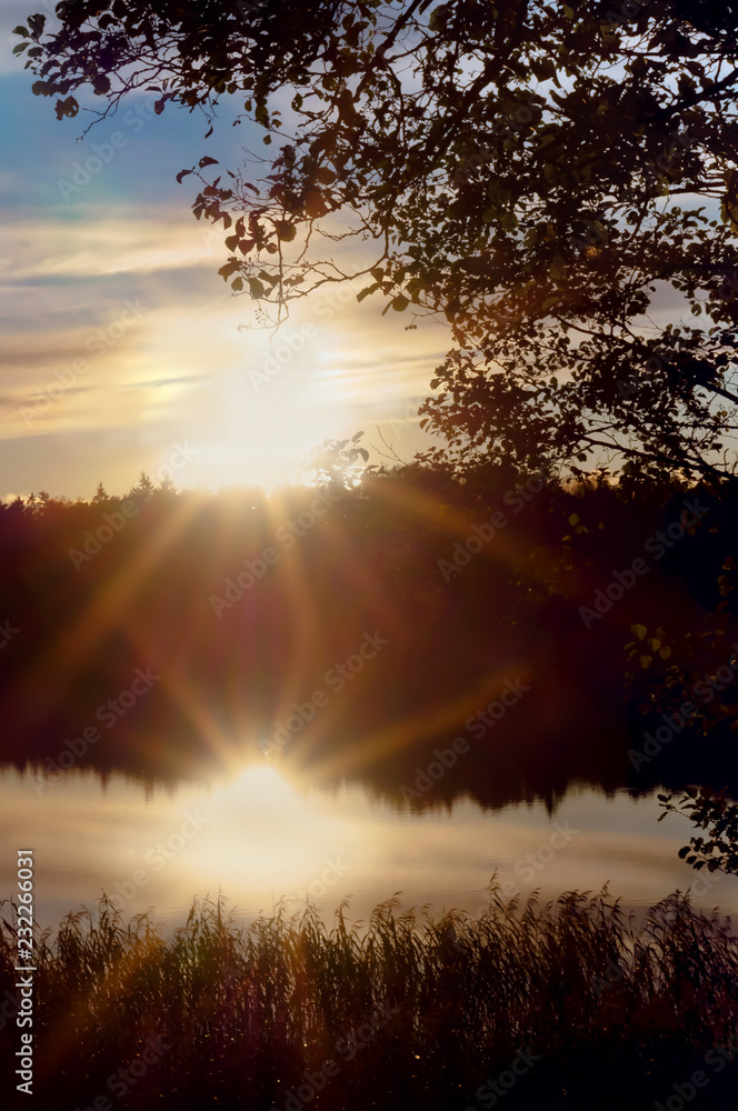 The sun breaks through the trees, the sunset. The sun reflected in the water.