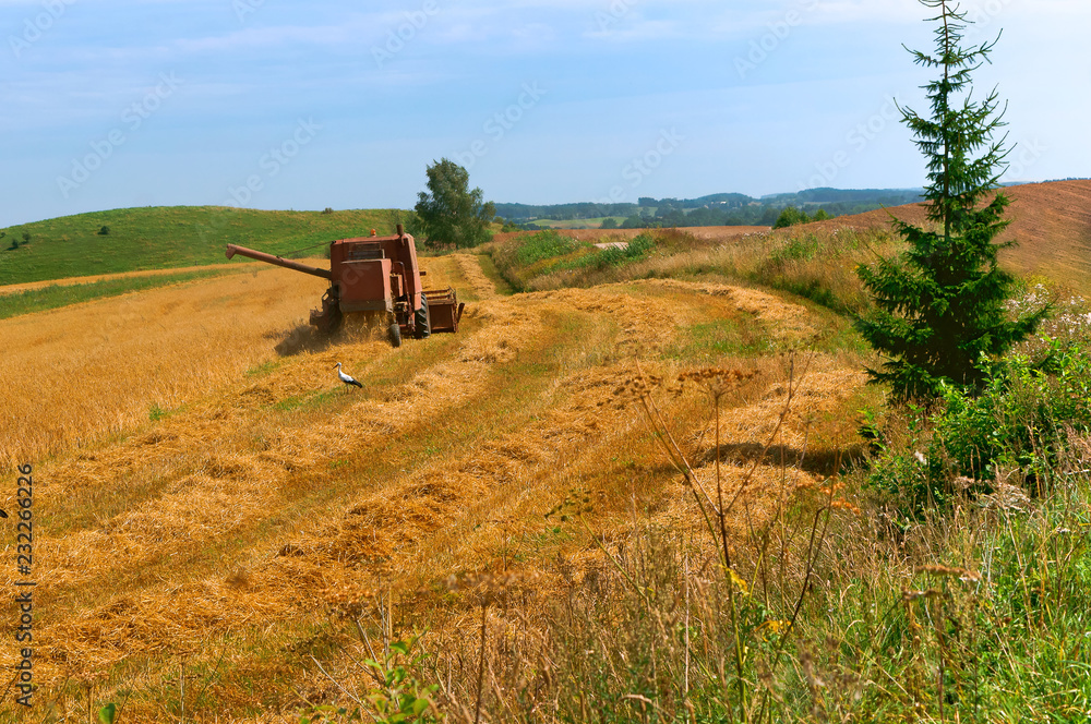 Grain harvesters. In the field working farm machinery. Agricultural land. Spring plowing.